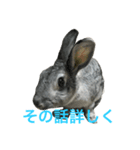 うさぎのふぅーちゃん（個別スタンプ：4）
