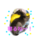イタグレミランの楽しい毎日（個別スタンプ：4）