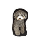 RADY＆ANDY（個別スタンプ：6）
