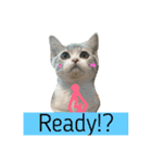 Pet Asarn（個別スタンプ：3）
