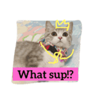 Pet Asarn（個別スタンプ：15）