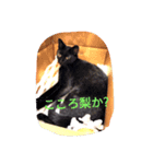 Guli Gula Choco（個別スタンプ：2）
