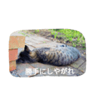 Guli Gula Choco（個別スタンプ：6）