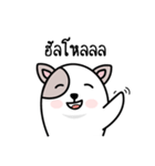 Not a dog（個別スタンプ：1）