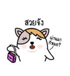Not a dog（個別スタンプ：18）