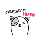 Not a dog（個別スタンプ：19）