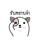 Not a dog（個別スタンプ：36）