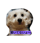 WOWOWWOWOWwonderful（個別スタンプ：1）