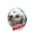 WOWOWWOWOWwonderful（個別スタンプ：5）