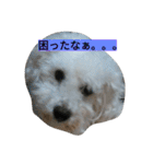 WOWOWWOWOWwonderful（個別スタンプ：9）