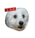 WOWOWWOWOWwonderful（個別スタンプ：10）