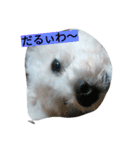 WOWOWWOWOWwonderful（個別スタンプ：12）