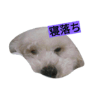 WOWOWWOWOWwonderful（個別スタンプ：18）