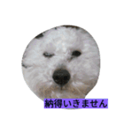 WOWOWWOWOWwonderful（個別スタンプ：21）