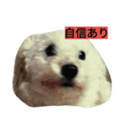 WOWOWWOWOWwonderful（個別スタンプ：22）