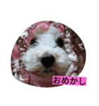 WOWOWWOWOWwonderful（個別スタンプ：23）