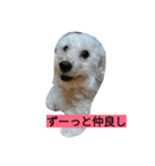 WOWOWWOWOWwonderful（個別スタンプ：24）