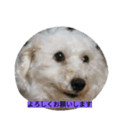 WOWOWWOWOWwonderful（個別スタンプ：25）