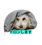 WOWOWWOWOWwonderful（個別スタンプ：26）
