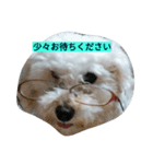 WOWOWWOWOWwonderful（個別スタンプ：27）