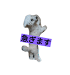 WOWOWWOWOWwonderful（個別スタンプ：31）