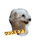 WOWOWWOWOWwonderful（個別スタンプ：35）