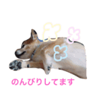アトム日記（個別スタンプ：1）
