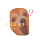 アトム日記（個別スタンプ：3）