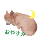 アトム日記（個別スタンプ：6）