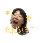 we are yashiro（個別スタンプ：4）