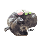 チョコ＆モカ（個別スタンプ：14）