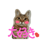 kenta no tubuyaki（個別スタンプ：5）