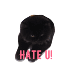 MENA'S PETS（個別スタンプ：4）