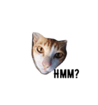 MENA'S PETS（個別スタンプ：7）