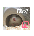 福田豆大福です。（個別スタンプ：2）