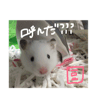 福田豆大福です。（個別スタンプ：3）