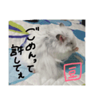 福田豆大福です。（個別スタンプ：4）