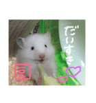 福田豆大福です。（個別スタンプ：6）