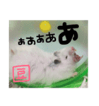 福田豆大福です。（個別スタンプ：7）