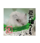 福田豆大福です。（個別スタンプ：9）