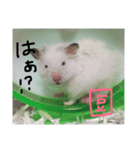 福田豆大福です。（個別スタンプ：10）