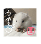 福田豆大福です。（個別スタンプ：11）