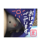 福田豆大福です。（個別スタンプ：12）