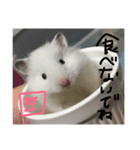 福田豆大福です。（個別スタンプ：13）
