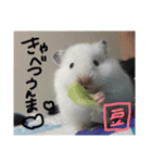 福田豆大福です。（個別スタンプ：14）