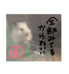 福田豆大福です。（個別スタンプ：16）