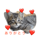 れおにゃんスタンプ（個別スタンプ：4）