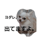 元保護犬のもずく＆はな2(オフィス編？)（個別スタンプ：14）