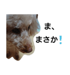 元保護犬のもずく＆はな2(オフィス編？)（個別スタンプ：30）