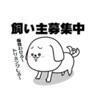 続！ハードボイルドになりたい白い犬（個別スタンプ：15）